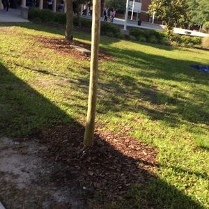 Meet your Posher, Jose